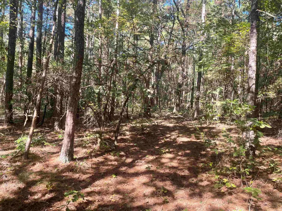 000 Sunny Fox Road, Mountain View, AR 72560 - Image #3