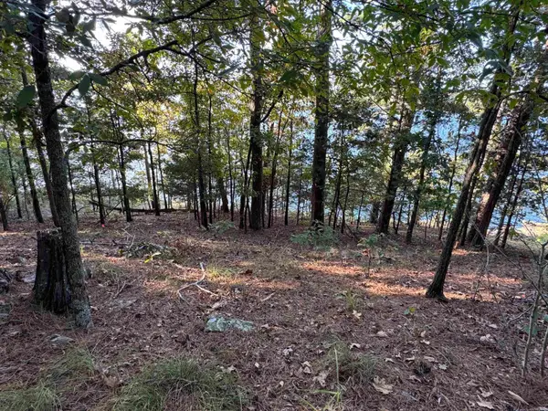 Lot 22 Island Shores Drive, Drasco, AR 72530