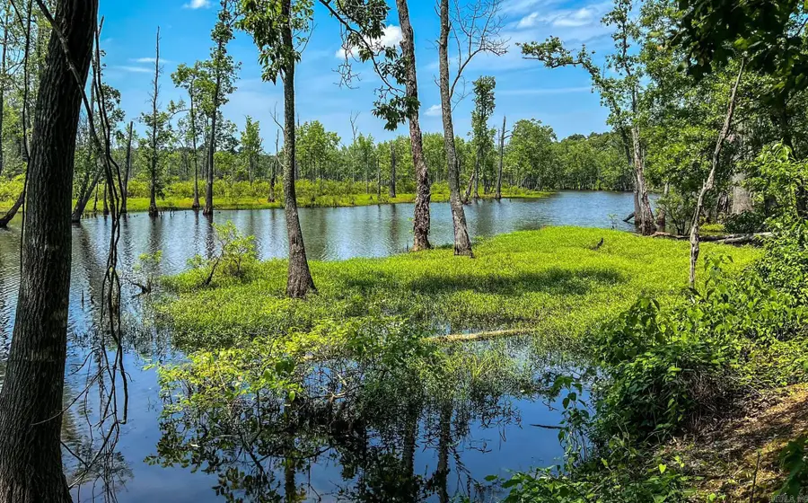 303 Devoe Bend Drive, Maumelle, AR 72113 - Image #2