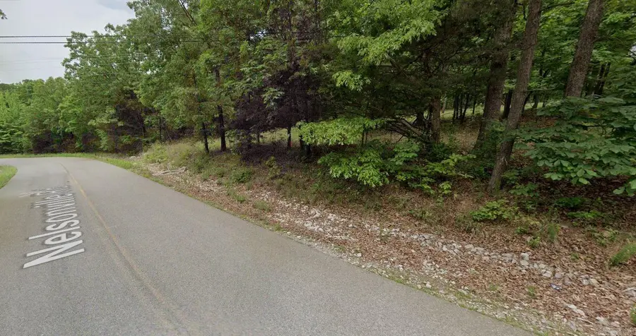 Lot 135 Nelsonville Road, Smithville, AR 72466 - Image #2