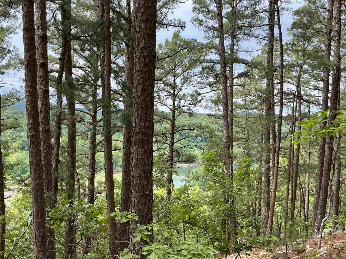 10 Woodsman Road, Melbourne, AR 72556 - Image #1