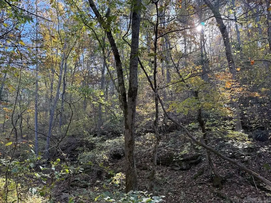 Cr 939, Berryville, AR 72616 - Image #2