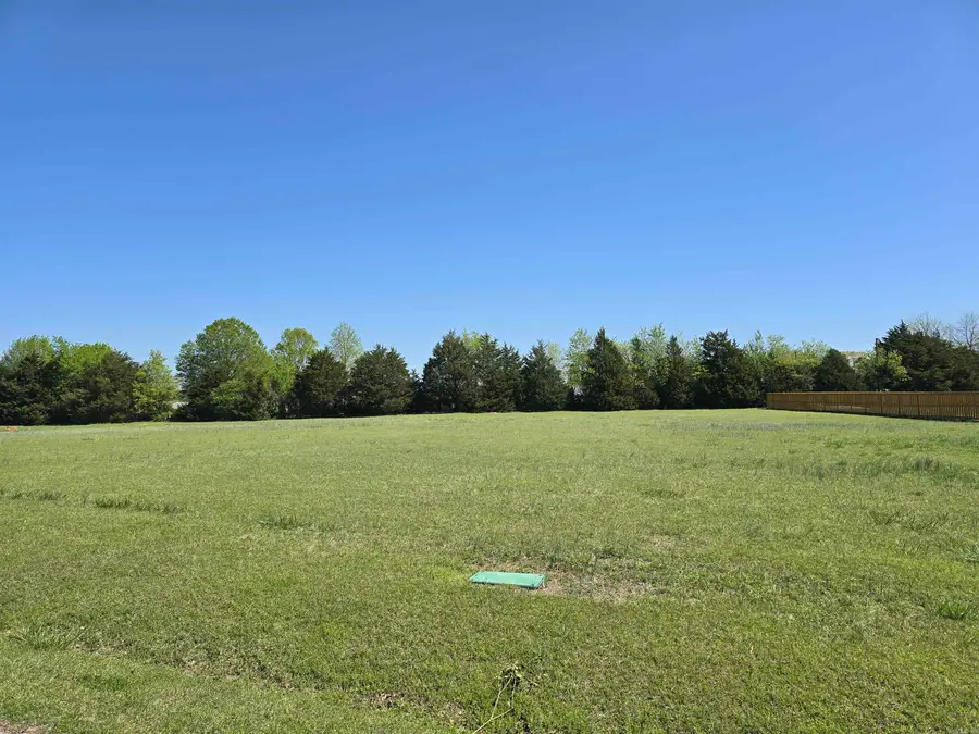 99 Emerald Lane, Greers Ferry, AR 72067 - Image #3