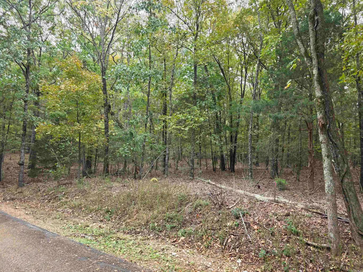 Lot 182 Tannenbaum Road, Drasco, AR 72530 - Image #1