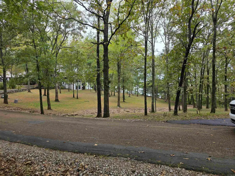 Lot 182 Tannenbaum Road, Drasco, AR 72530 - Image #2