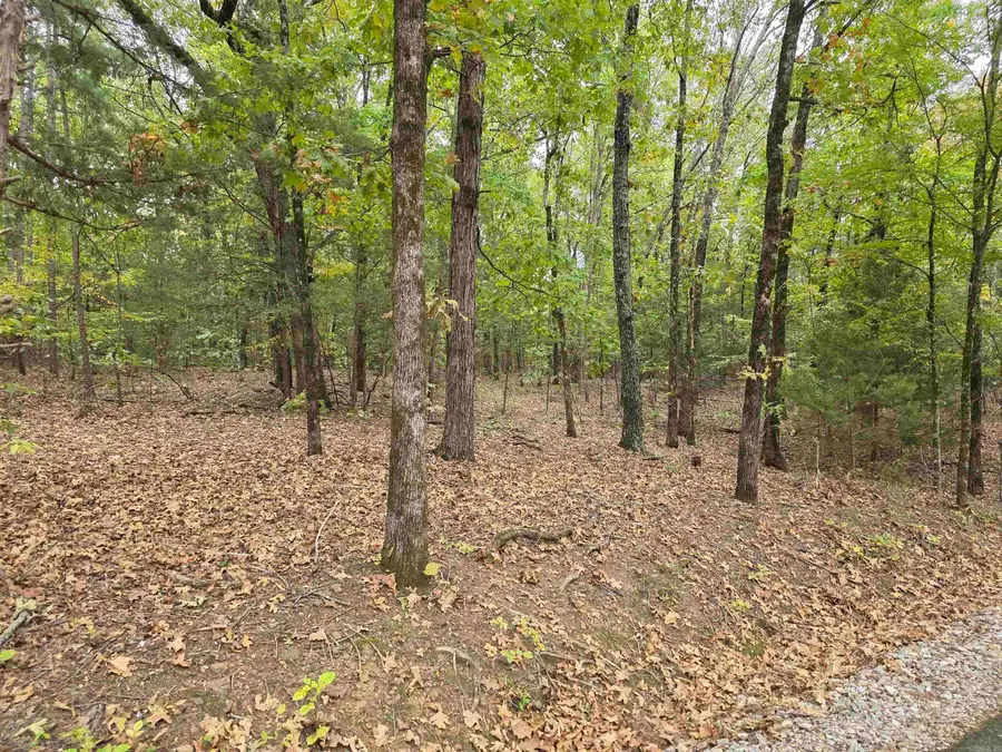 Lot 182 Tannenbaum Road, Drasco, AR 72530 - Image #3