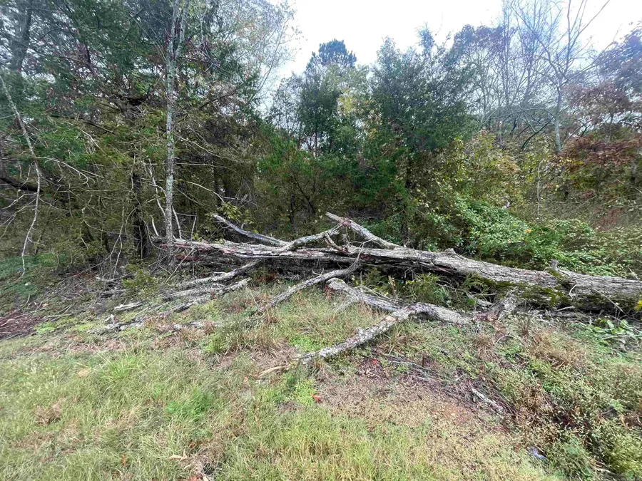 000 Prim Rd., Prim, AR 72130 - Image #3