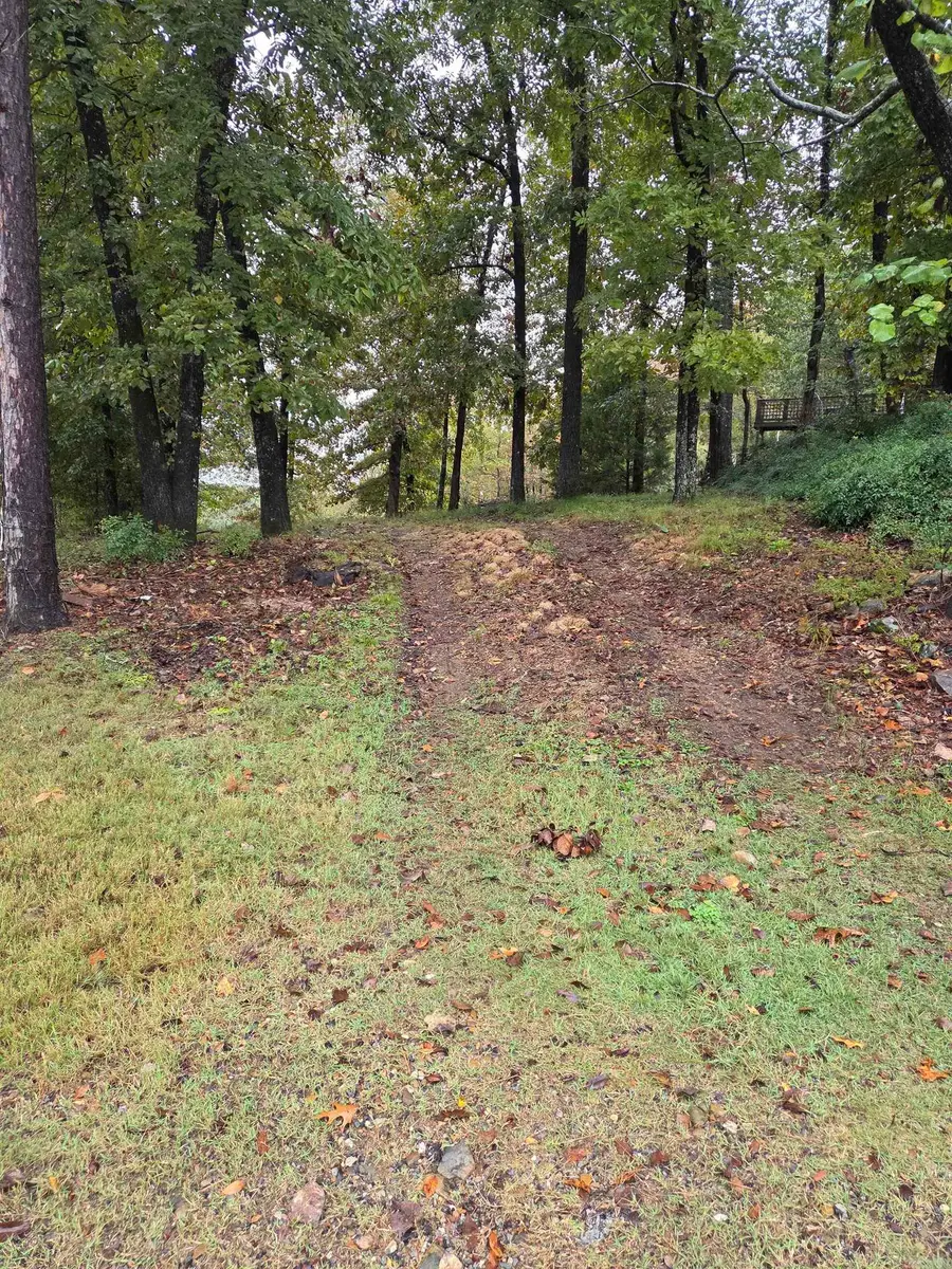 Address Withheld By Seller, Hot Springs, AR 71913 - Image #3