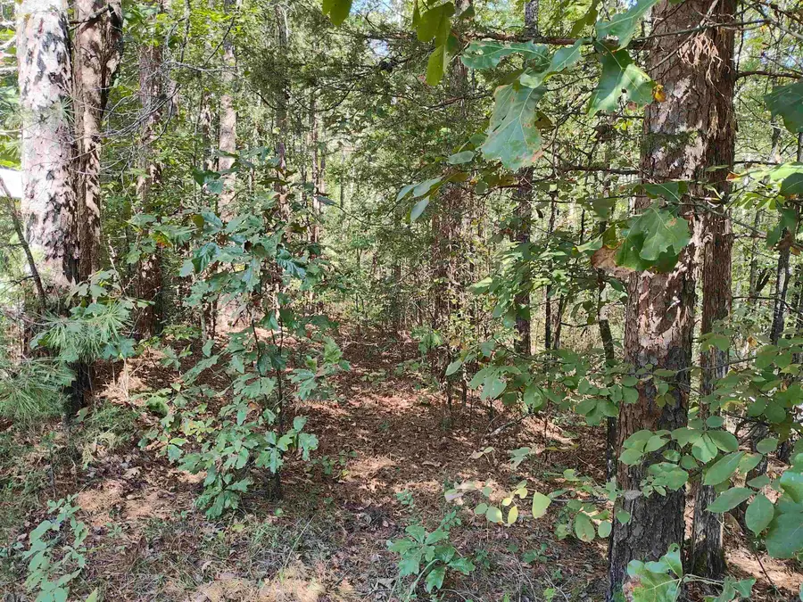 0 Pryor Mountain Dr, Quitman, AR 72131 - Image #2