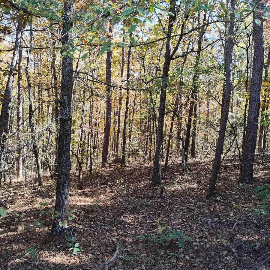 0 Pryor Mountain Dr, Quitman, AR 72131 - Image #3