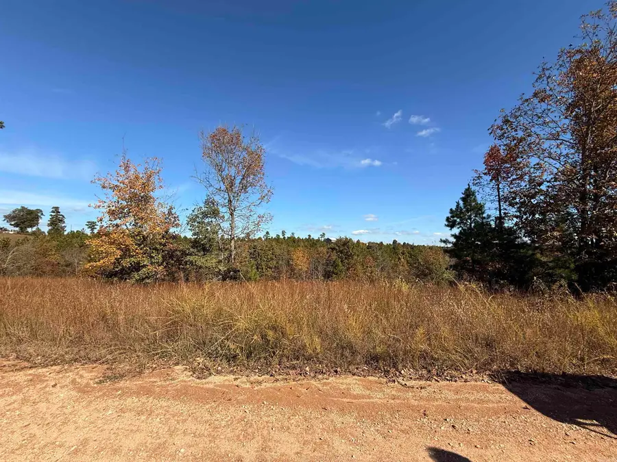 000 Qmc Road, Mountain View, AR 72560 - Image #3