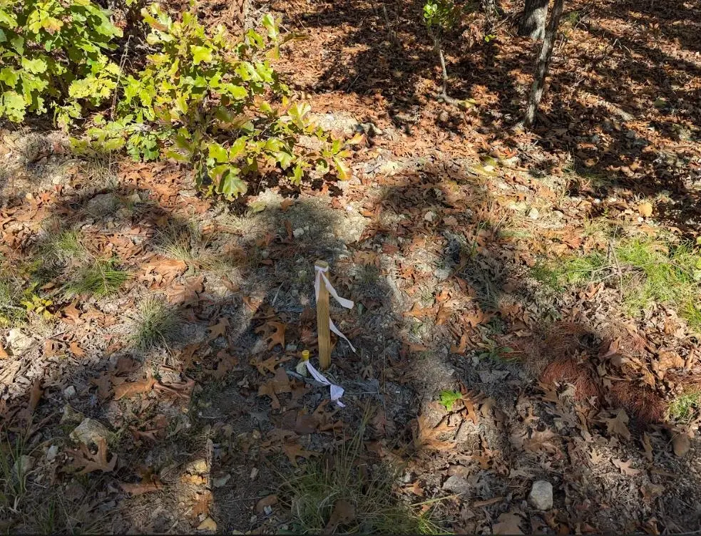 TBD Driftwood Rd, Salem, AR 72576 - Image #1