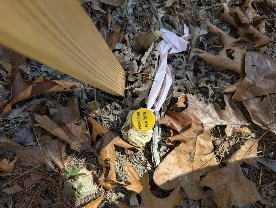 TBD Driftwood Rd, Salem, AR 72576 - Image #3