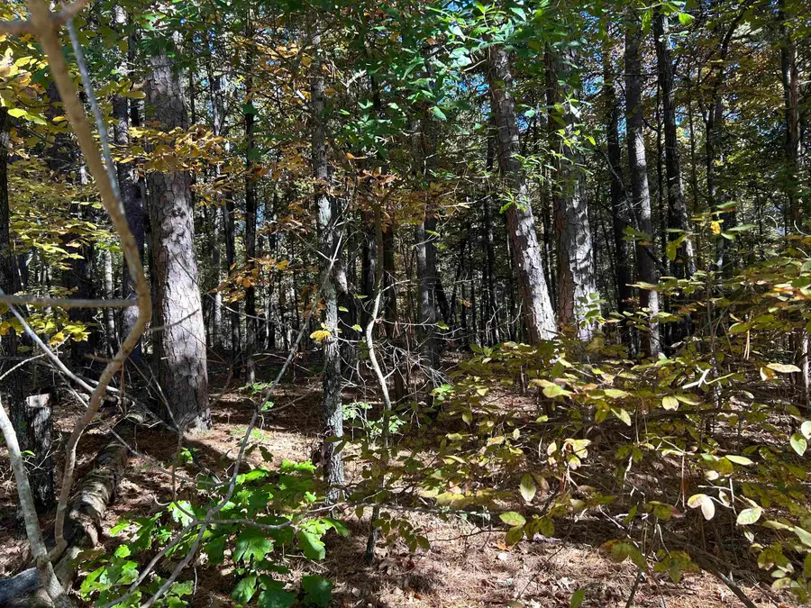 Address Withheld By Seller, Indian Rock, AR 72088 - Image #2