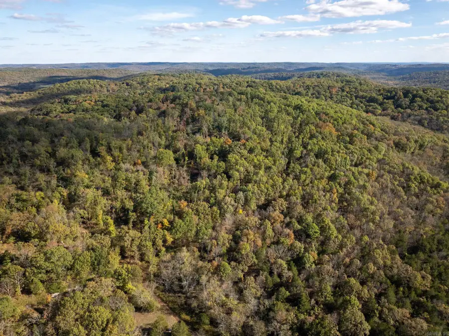 000 Sandtown Road, Cushman, AR 72526 - Image #2