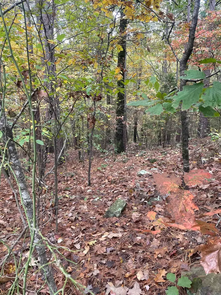 Address Withheld By Seller, Clinton, AR 72031 - Image #2