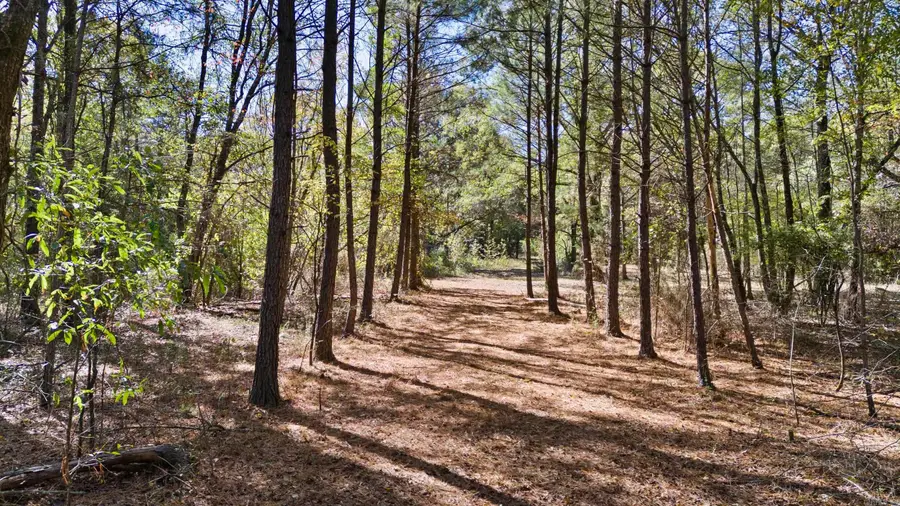 307 307 Highway, Bluffton, AR 72827 - Image #2