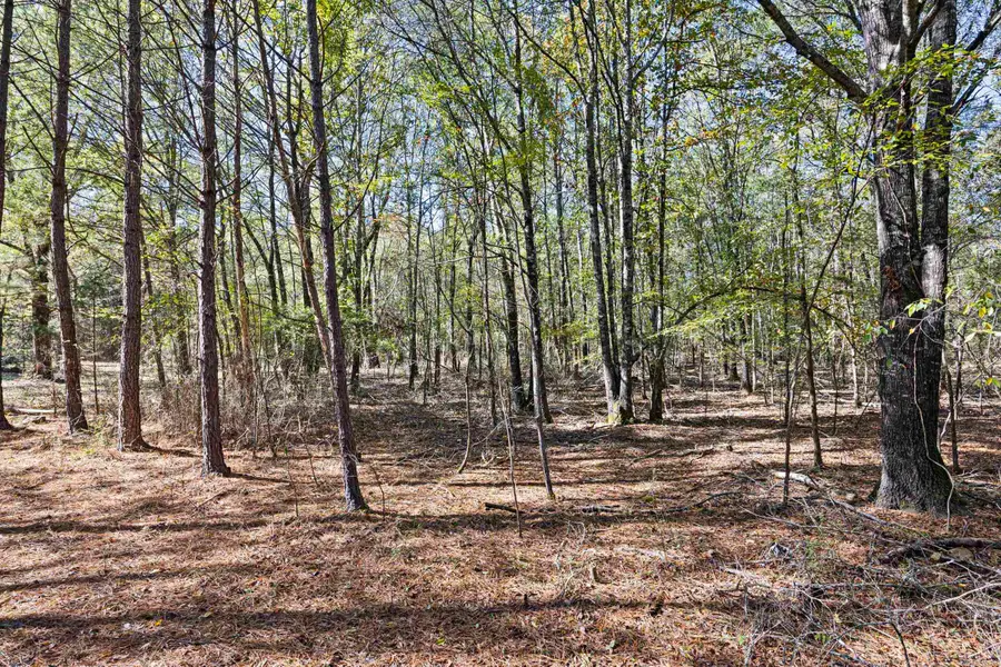 307 307 Highway, Bluffton, AR 72827 - Image #3