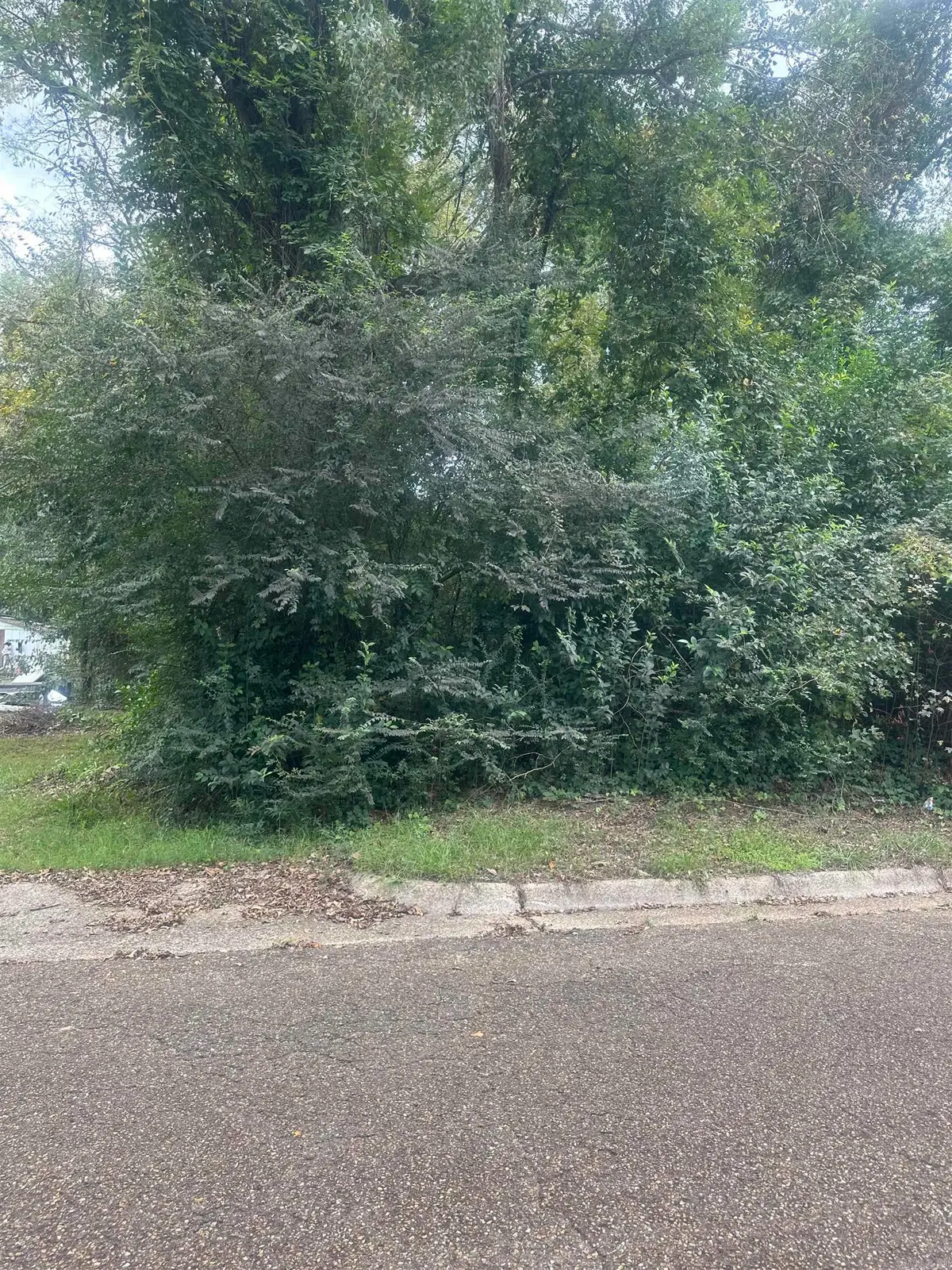 311 Pearl, Camden, AR 71701 - Image #1