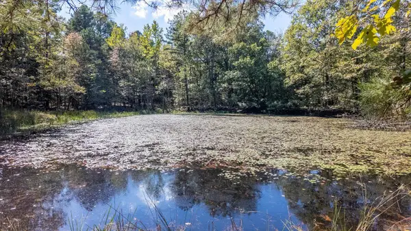 TBD Forrest Drive, Houston, MO 65483