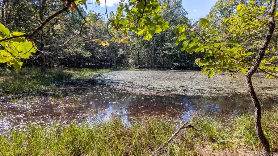 TBD Forrest Drive, Houston, MO 65483 - Image #3