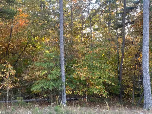 Address Withheld By Seller, Hot Springs Village, AR 71909