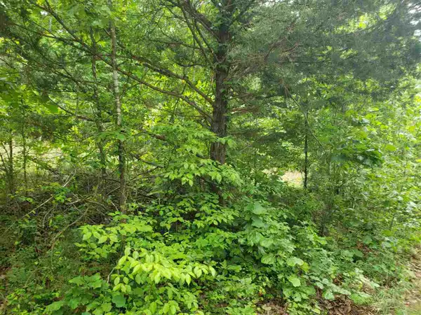 L-5 B-5 Flathead Drive, Cherokee Village, AR 72529