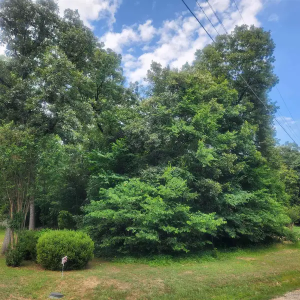 L-36, B-14 Cochise Road, Cherokee Village, AR 72529