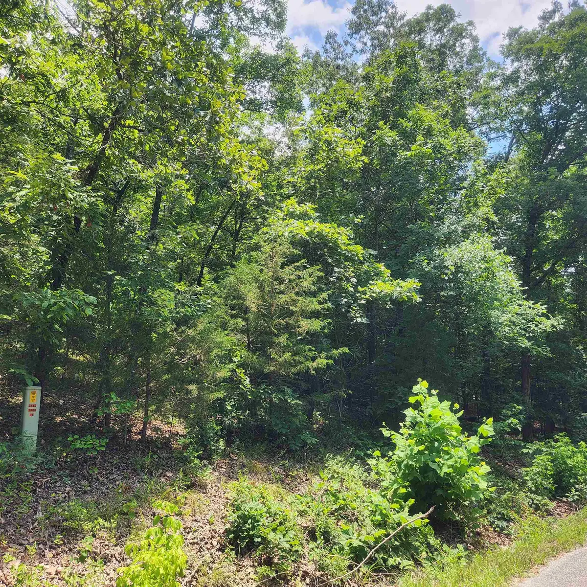 L-15, B-13A Cochise Road, Cherokee Village, AR 72529 - Image #1