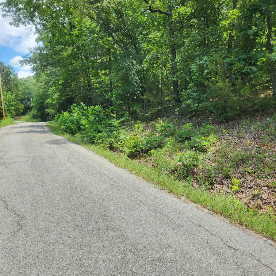 L-15, B-13A Cochise Road, Cherokee Village, AR 72529 - Image #2