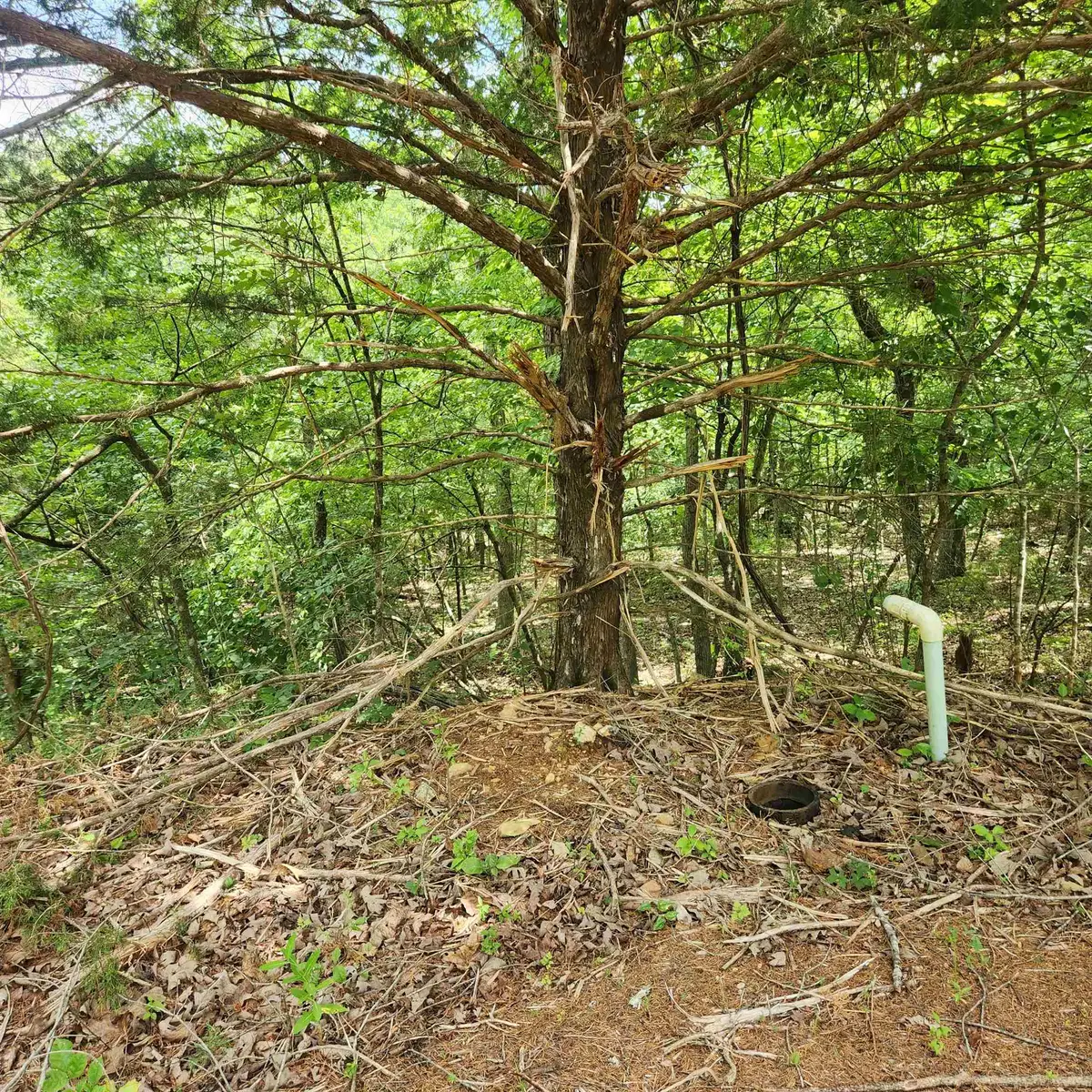 L-67, B-18 Impa Circle, Cherokee Village, AR 72529 - Image #1