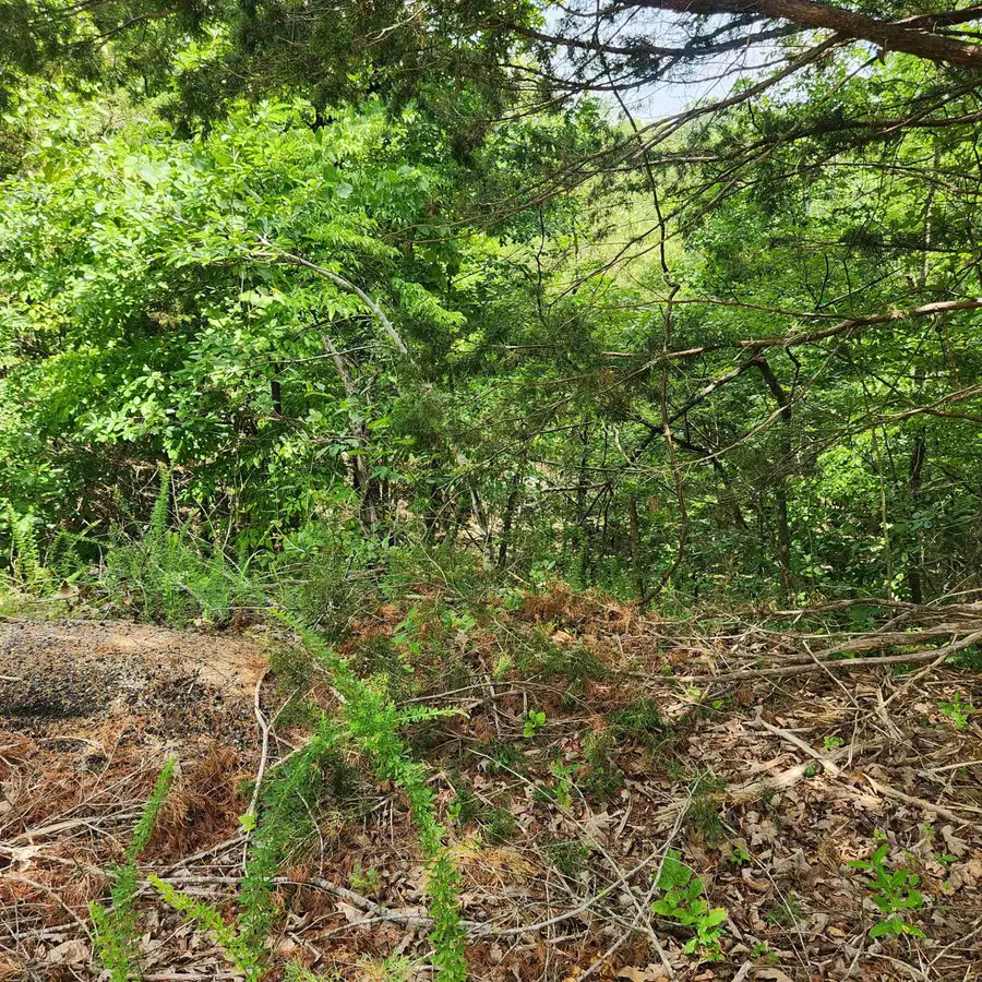 L-67, B-18 Impa Circle, Cherokee Village, AR 72529 - Image #2