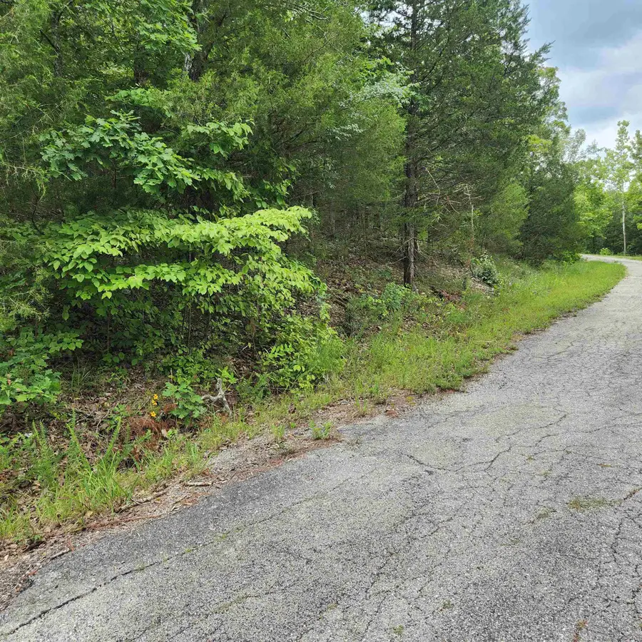 L-137, B-18 Tampa Trace, Cherokee Village, AR 72529 - Image #2