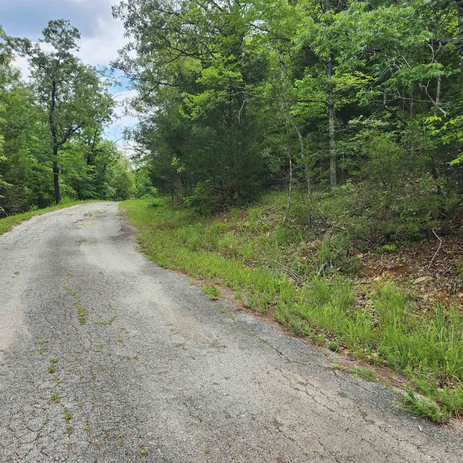 L-137, B-18 Tampa Trace, Cherokee Village, AR 72529 - Image #3