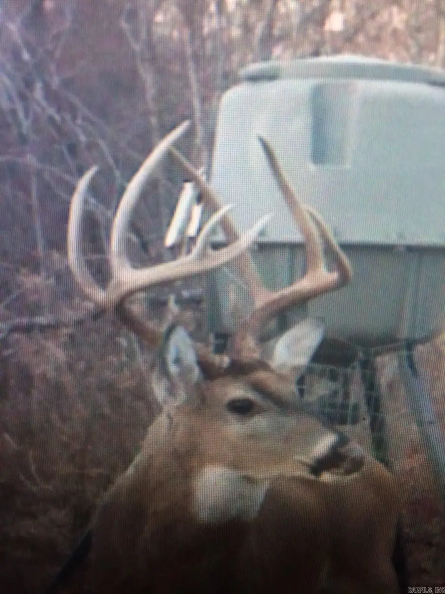 1001 Flecther Road, Forrest City, AR 72335 - Image #3