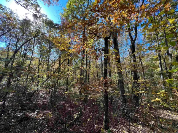 Lot 60R Holley Mountain Airpark, Clinton, AR 72031