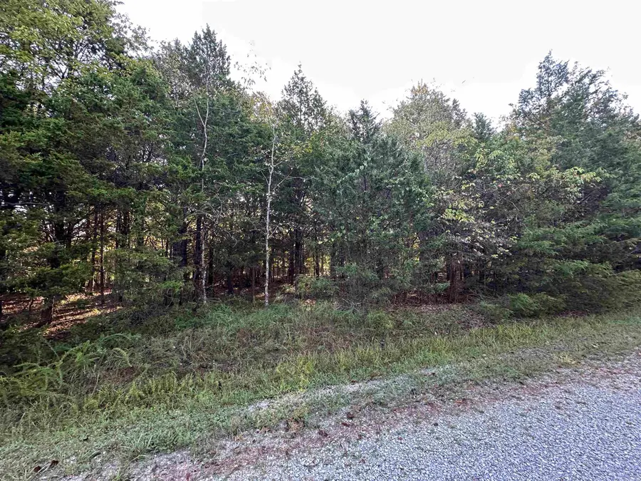 001 Hand Cove Road, Elizabeth, AR 72531 - Image #2
