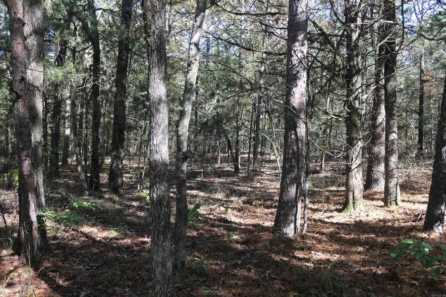 Address Withheld By Seller, Boles, AR 72926 - Image #3