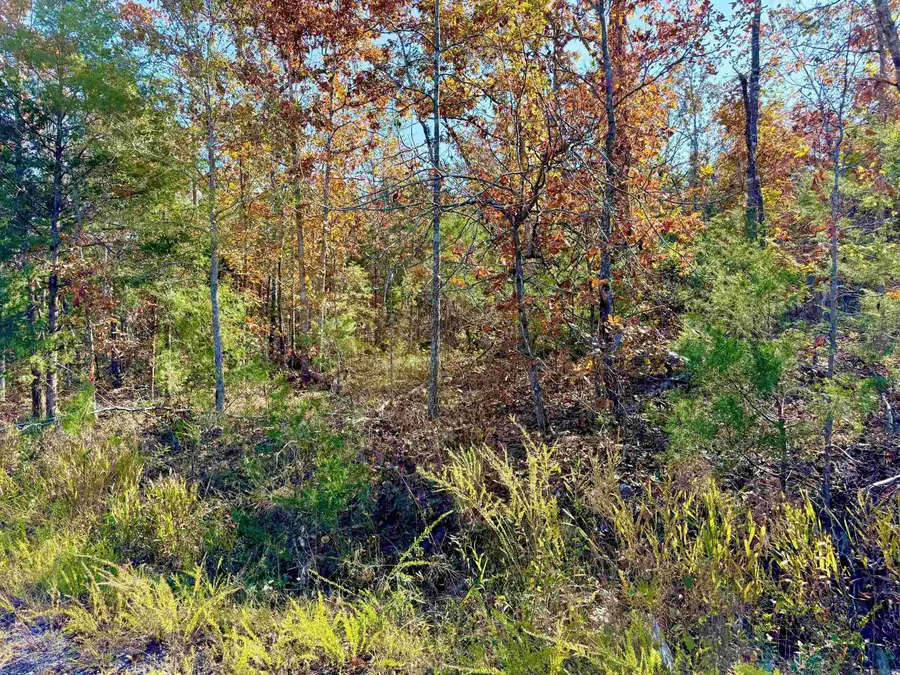 010-01589-000 Canmore Drive, Mountain Home, AR 72653 - Image #3