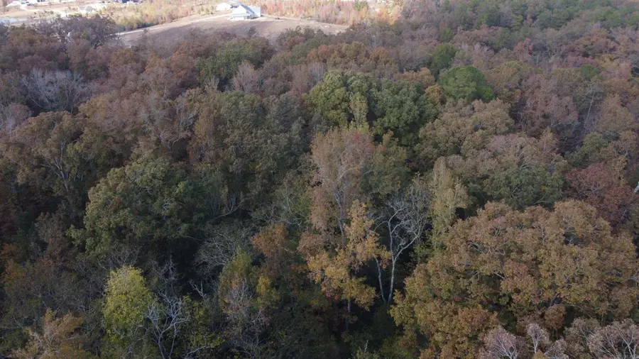 6763 Park Avenue, Hot Springs, AR 71901 - Image #3