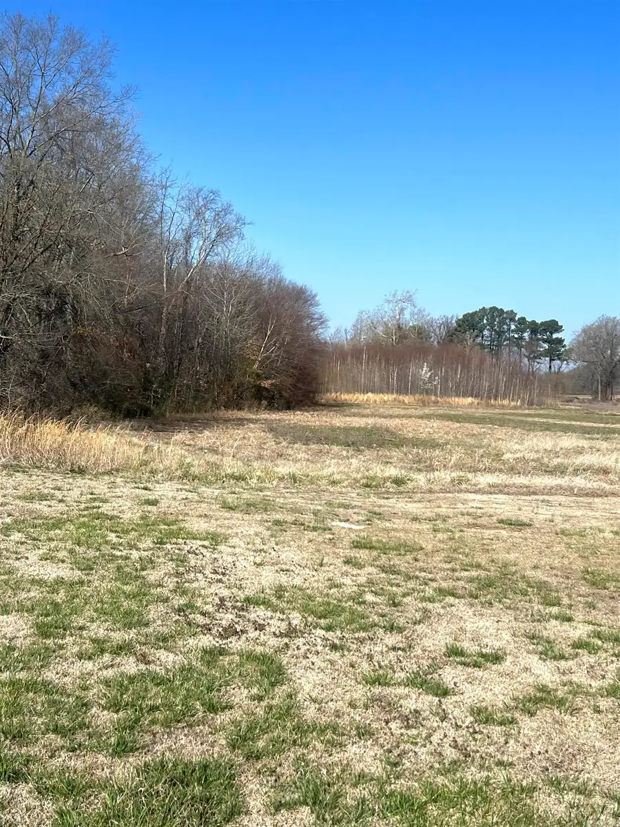 20.12 Peachtree, Jonesboro, AR 72405 - #3