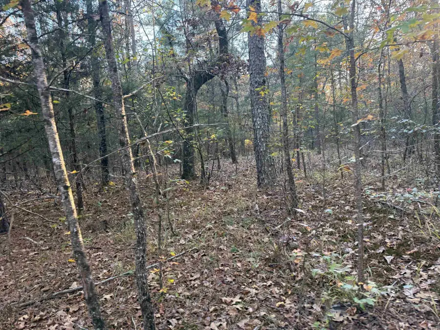 Address Withheld By Seller, Cove, AR 71937 - Image #3