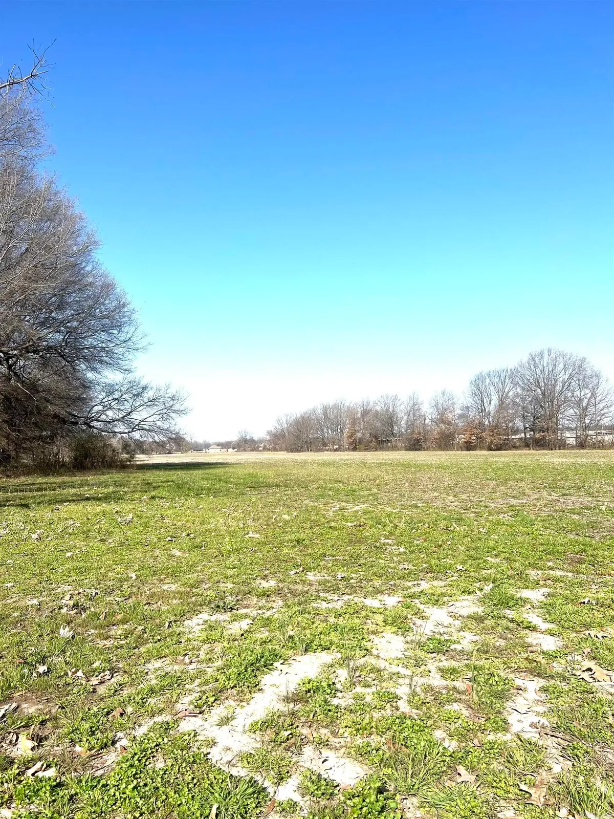 11.46 Highway 351, Jonesboro, AR 72405 - #1