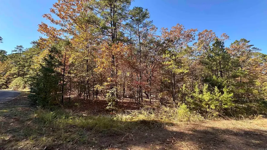 6 Buque Lane, Hot Springs Village, AR 71909 - Image #2