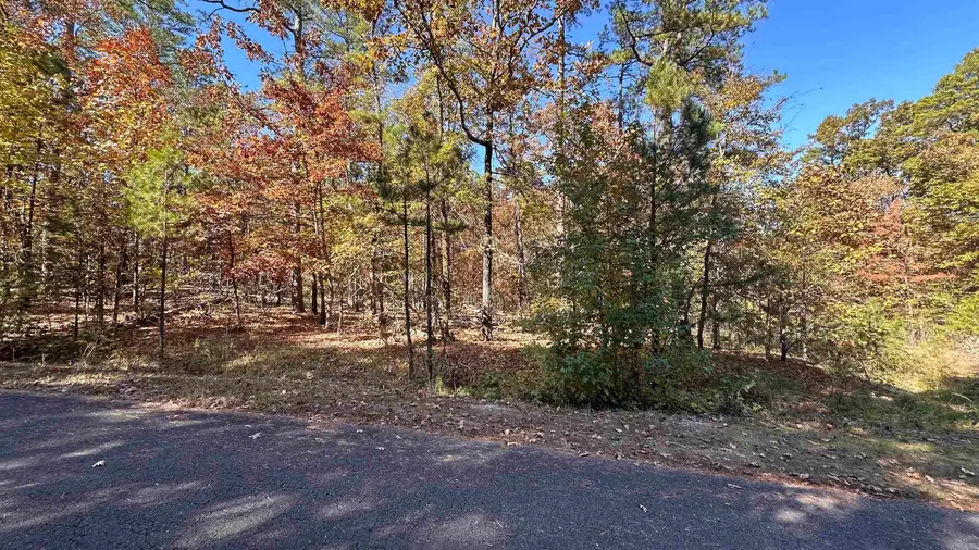 6 Buque Lane, Hot Springs Village, AR 71909 - Image #3