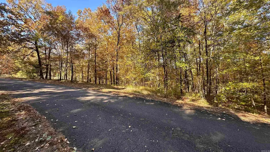 24 Buque Way, Hot Springs Village, AR 71909 - Image #3