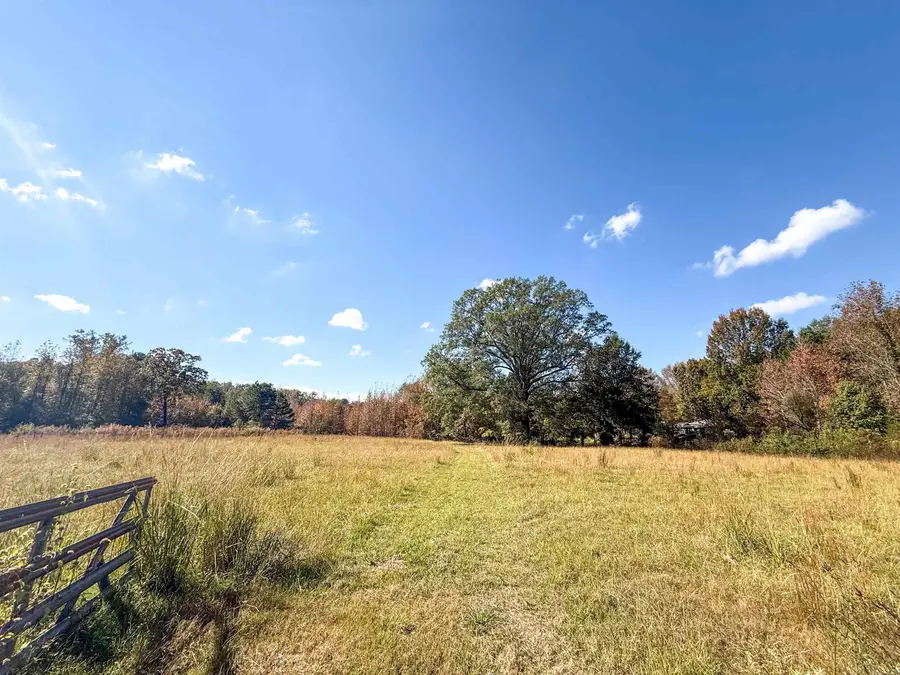 13 Grant County Road 455 Road, Prattsville, AR 72129 - Image #3