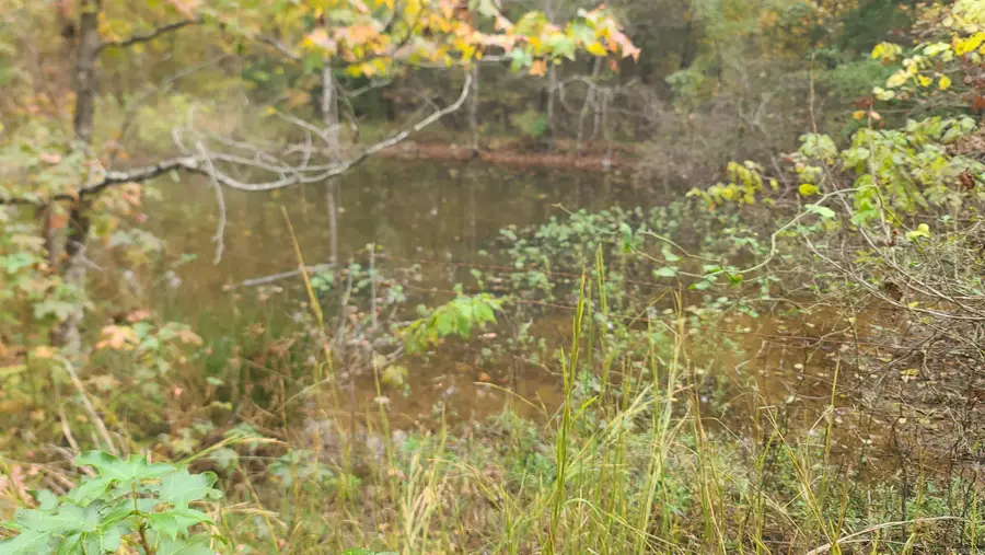 79 Hidden Valley Road, Conway, AR 72034 - Image #3