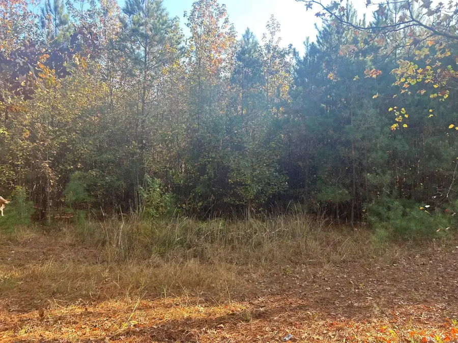 164 Hot Springs Drive, Arkadelphia, AR 71923 - Image #2