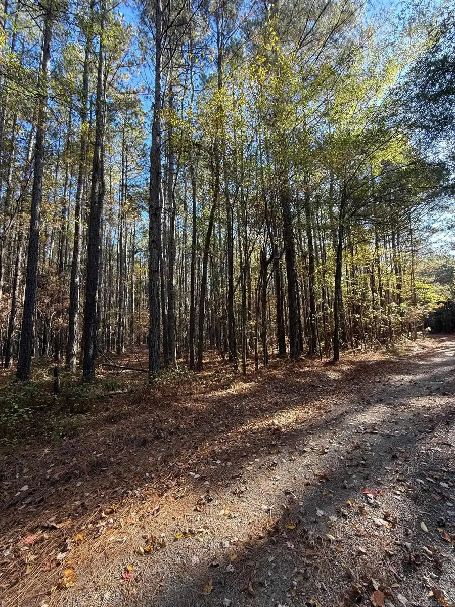 000 Grant 4613 Road, Sheridan, AR 72150 - Image #2